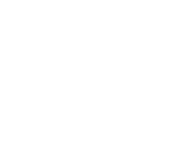Evolution games at Winspin Bet Casino
